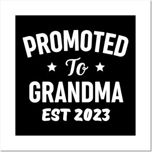 Funny Grandma 2023 Gift Idea Posters and Art